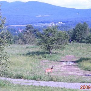 Meet your Posher, Patricia